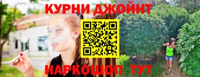 гашик Кимры