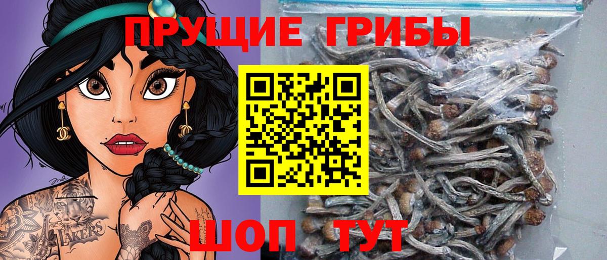 Кольчугино  Галлюциногенные грибы мицелий  Вход с VPN 